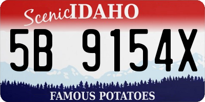 ID license plate 5B9154X