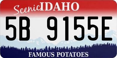 ID license plate 5B9155E