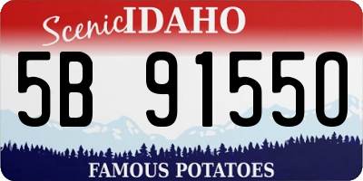 ID license plate 5B9155O
