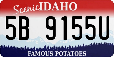 ID license plate 5B9155U