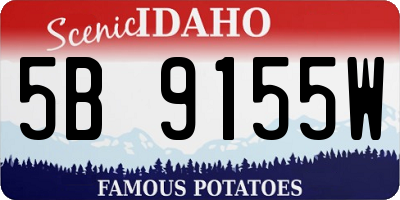 ID license plate 5B9155W