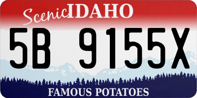 ID license plate 5B9155X
