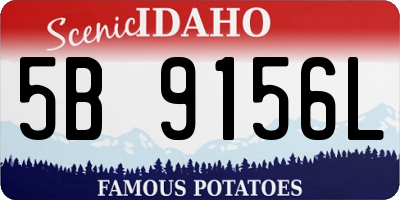 ID license plate 5B9156L