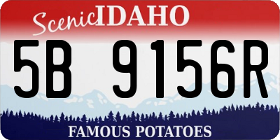 ID license plate 5B9156R