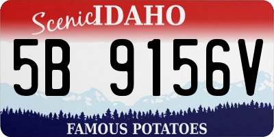 ID license plate 5B9156V