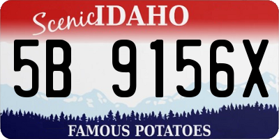 ID license plate 5B9156X