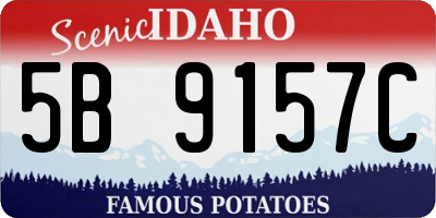 ID license plate 5B9157C