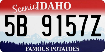 ID license plate 5B9157Z
