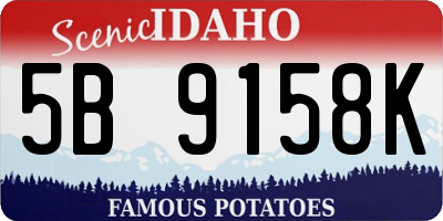 ID license plate 5B9158K