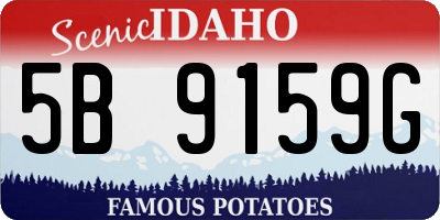 ID license plate 5B9159G