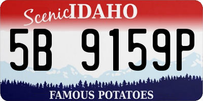 ID license plate 5B9159P