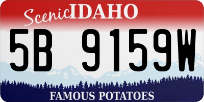 ID license plate 5B9159W