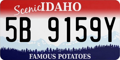 ID license plate 5B9159Y