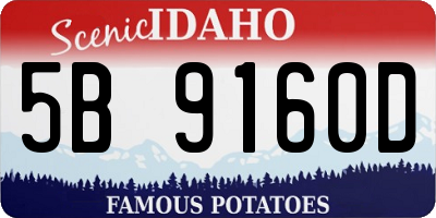 ID license plate 5B9160D