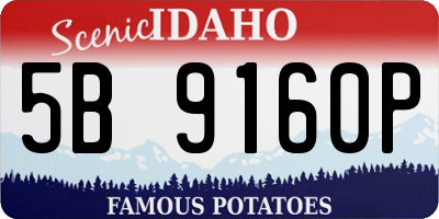 ID license plate 5B9160P