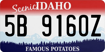 ID license plate 5B9160Z