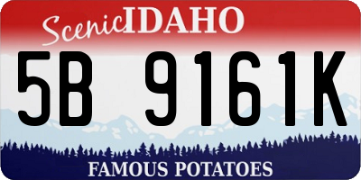 ID license plate 5B9161K