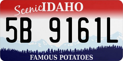 ID license plate 5B9161L