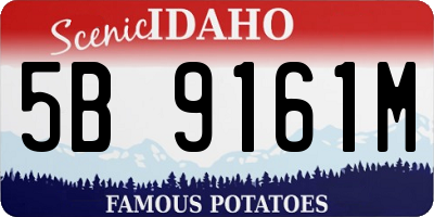 ID license plate 5B9161M
