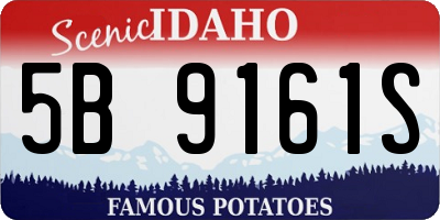 ID license plate 5B9161S