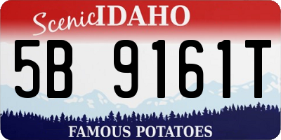 ID license plate 5B9161T