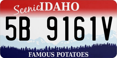 ID license plate 5B9161V