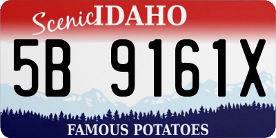 ID license plate 5B9161X