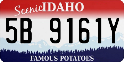 ID license plate 5B9161Y