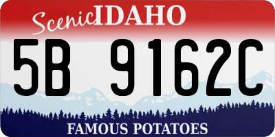 ID license plate 5B9162C