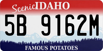 ID license plate 5B9162M