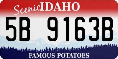 ID license plate 5B9163B
