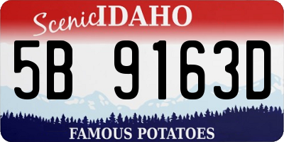 ID license plate 5B9163D