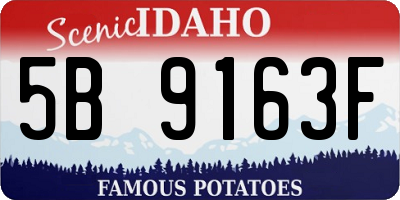 ID license plate 5B9163F