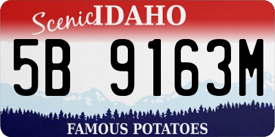 ID license plate 5B9163M