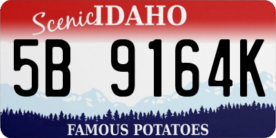 ID license plate 5B9164K