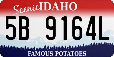 ID license plate 5B9164L