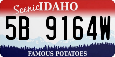 ID license plate 5B9164W