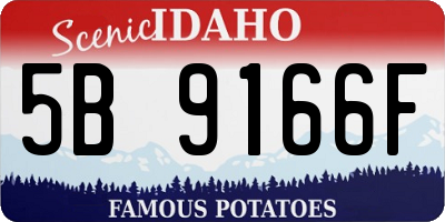 ID license plate 5B9166F