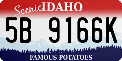 ID license plate 5B9166K