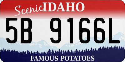 ID license plate 5B9166L