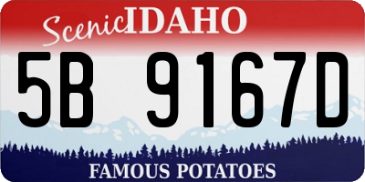 ID license plate 5B9167D