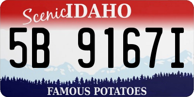 ID license plate 5B9167I