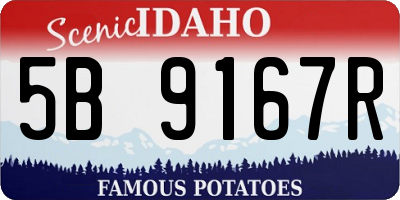 ID license plate 5B9167R