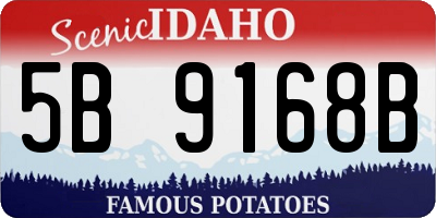 ID license plate 5B9168B