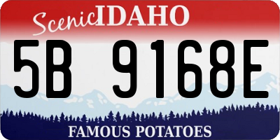 ID license plate 5B9168E