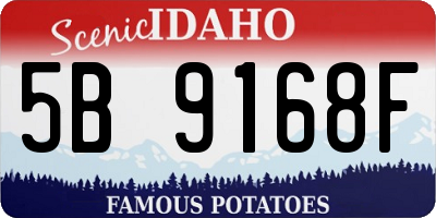 ID license plate 5B9168F