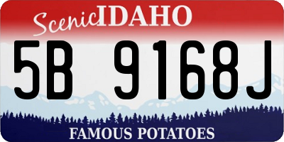 ID license plate 5B9168J