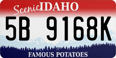 ID license plate 5B9168K