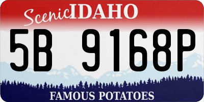 ID license plate 5B9168P