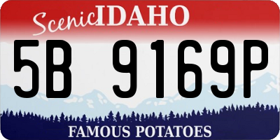 ID license plate 5B9169P